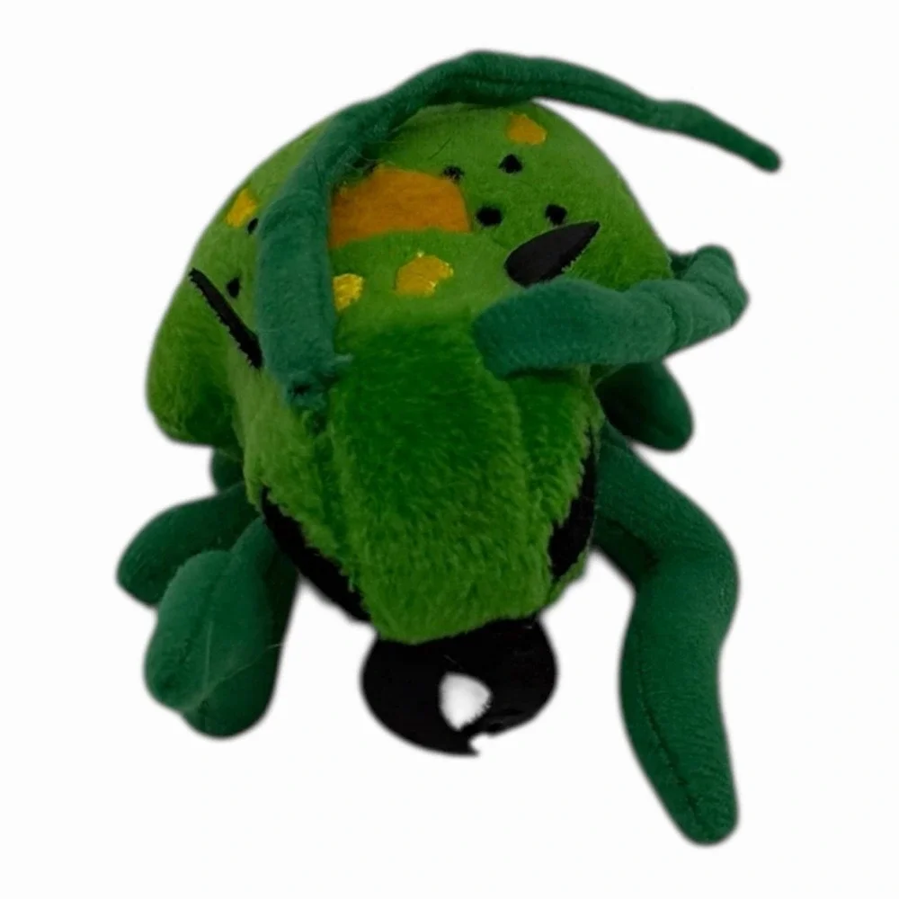 Beetle‎ Insects 5